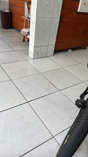   at King Vegan in Curitiba