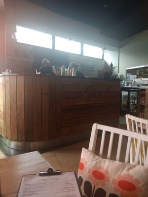 Counter at Little Green in Newcastle Upon Tyne