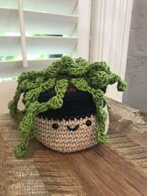 Adorable. Different plants on each table😄 at The Vegan Pantry in Barrie