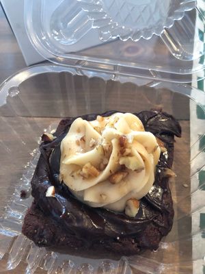 Turtle brownie!  at The Vegan Pantry in Barrie