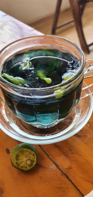 Butterfly pea tea at Sentro Botanikos Eco-Farm in Cavite