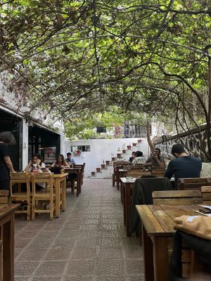   at Gabo Kitchen in Diyarbakir