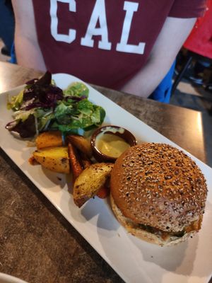 Burger at Biofoodies Cafe in Toulouse