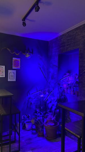   at Peaches in Moscow