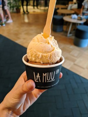 Vegan nutella and peanut butter Ice cream at La Muu in Tallinn
