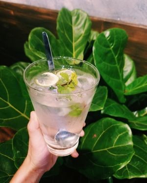 fresh lemon mint  at Veggie Castle - Yen Ninh in Hanoi