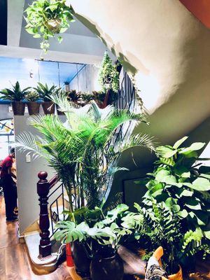 atmosphere at Veggie Castle - Yen Ninh in Hanoi