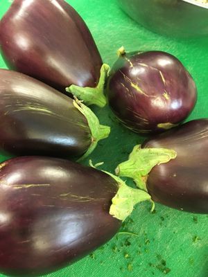 Sometimes we offer vegetables grown right at McKee Botanical Garden, like these eggplants. at Sealantro in Vero Beach