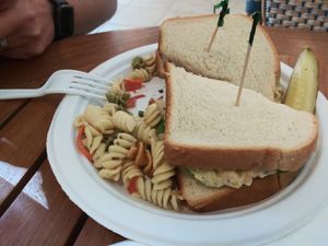 Chickpea salad sandwich with pasta salad at Sealantro in Vero Beach