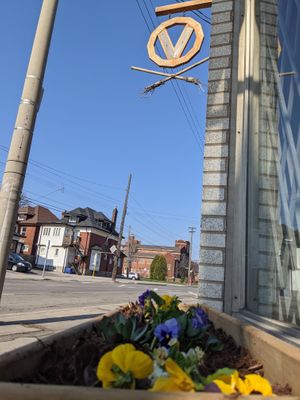  at Coven Plant Based Marketplace in Hamilton