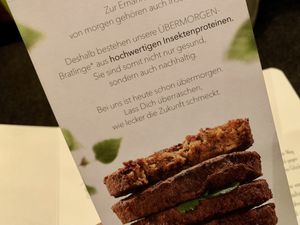 insect burgers at Hans im Glück - Mediapark in Cologne