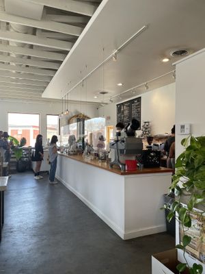   at Fiddlehead Fern Cafe in St Louis