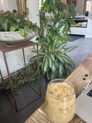 lavender oat latte  at Fiddlehead Fern Cafe in St Louis