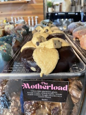   at VEERA in Missoula