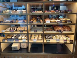   at VEERA in Missoula