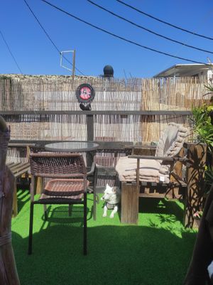 Pet friendly. Theremy dog enjoying the chill live music from the roof.  at Mad Irie in Crete