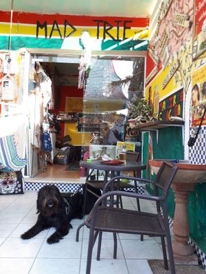 Mad Irie at Mad Irie in Crete