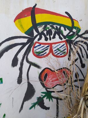 Vegan Mad HappyCow at Mad Irie in Crete