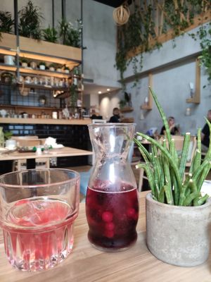 Berries kombucha at Mingle Cafe in Larnaca