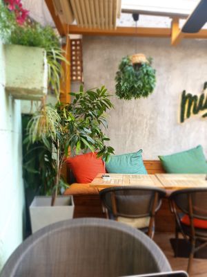 Interior at Mingle Cafe in Larnaca