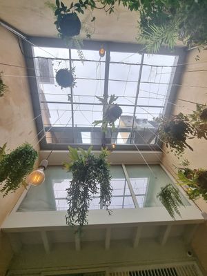 Jardins suspenso at Noshi Coffee in Porto