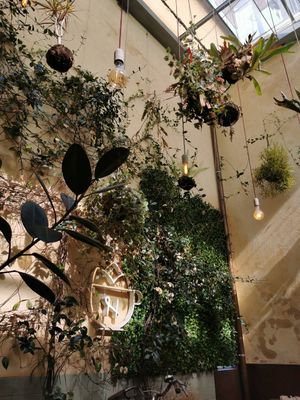 Inside patio area at Noshi Coffee in Porto