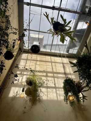   at Noshi Coffee in Porto