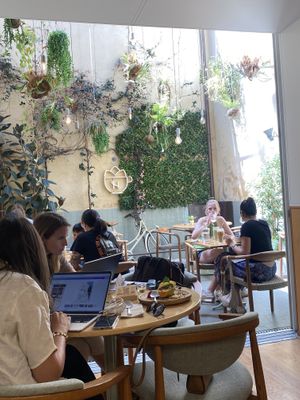   at Noshi Coffee in Porto