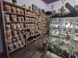 Store at Alternity Elixir Bar in Toronto