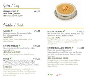 Vegan menu (as of 12/2023) at Tahin  in Istanbul