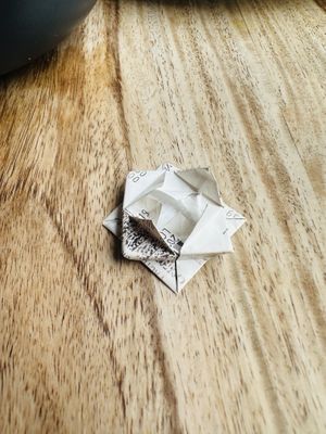   at Lola Rosa - Places des Festivals in Montreal