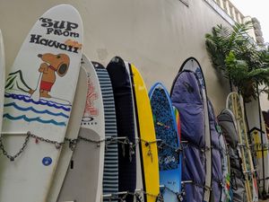 Look for the surfboards by Outrigger Waikiki Beach Resort at Banan - Waikiki in Honolulu