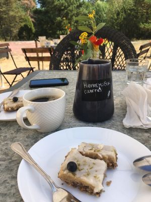 Vegan key lime pie (raw) and coffee with m oat milk (ikaffe) at Cafe Tsarevna in Aland