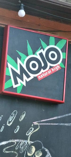  at Mojo Café in Trakai