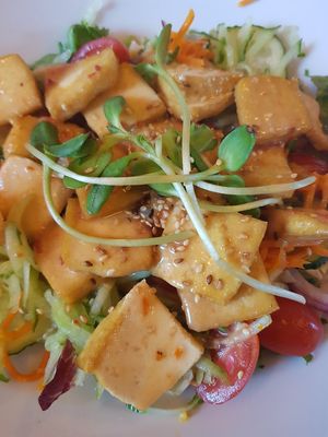 Fritted tofu salad 7€ at Mojo Café in Trakai