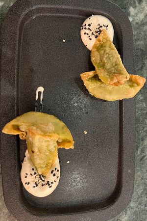 Gyosas  at The Green Affair - Saldanha in Lisbon