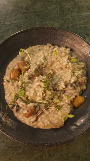 Risotto de champiñones y setas exquisito at The Green Affair - Saldanha in Lisbon