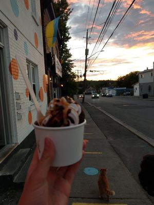 Peanutbutter Cup Sundae 🥜 at Flurple's in Sudbury