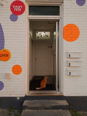  at Flurple's in Sudbury