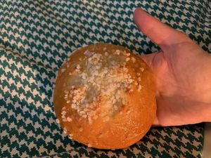 Vegan brioche bun  at Patisserie Chocolaterie Peigné in Lille