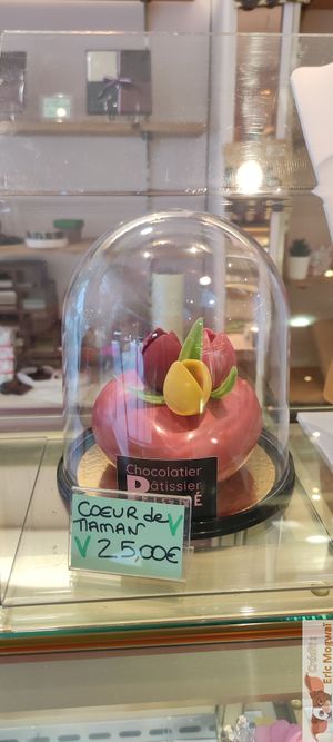 vegan chocolate at Patisserie Chocolaterie Peigné in Lille