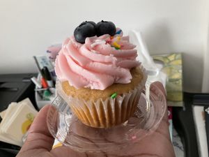 vegan cupcake of the day  at Padmanadi in Edmonton
