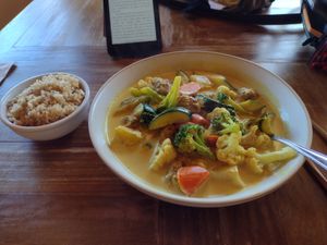 Curried 'mutton' with brown rice at Padmanadi in Edmonton