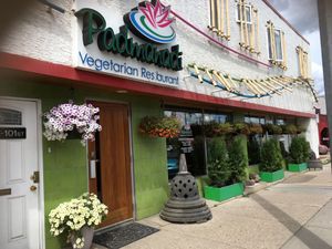 Lovely atmosphere  at Padmanadi in Edmonton