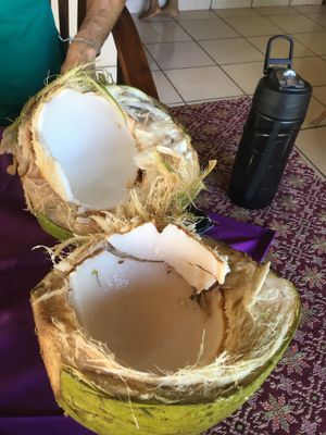 Coconut at Om Shanti in Abang