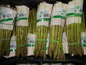 Asparagus at Agraria Koper in Koper