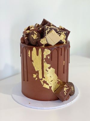  at BVKED in Reedy Creek