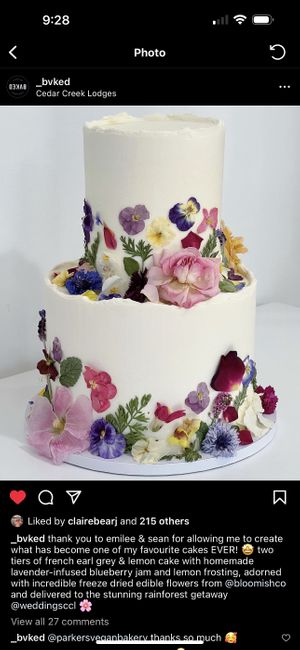   at BVKED in Reedy Creek