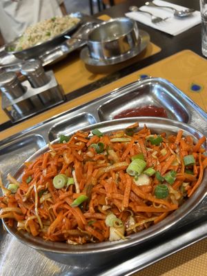   at Krishna Vilas in The Hague