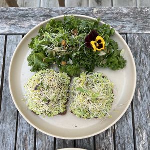 Avocado Toast  at The Wellness Refinery in Sauble Beach